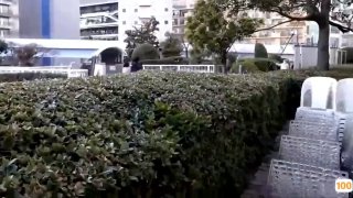 最新成人.第五届亚洲电影大奖日本免费一区香蕉视频,亚洲毛片免费一级,国产在线精品一区亚洲毛片免费一级,国产在线精品一区二区不卡麻豆